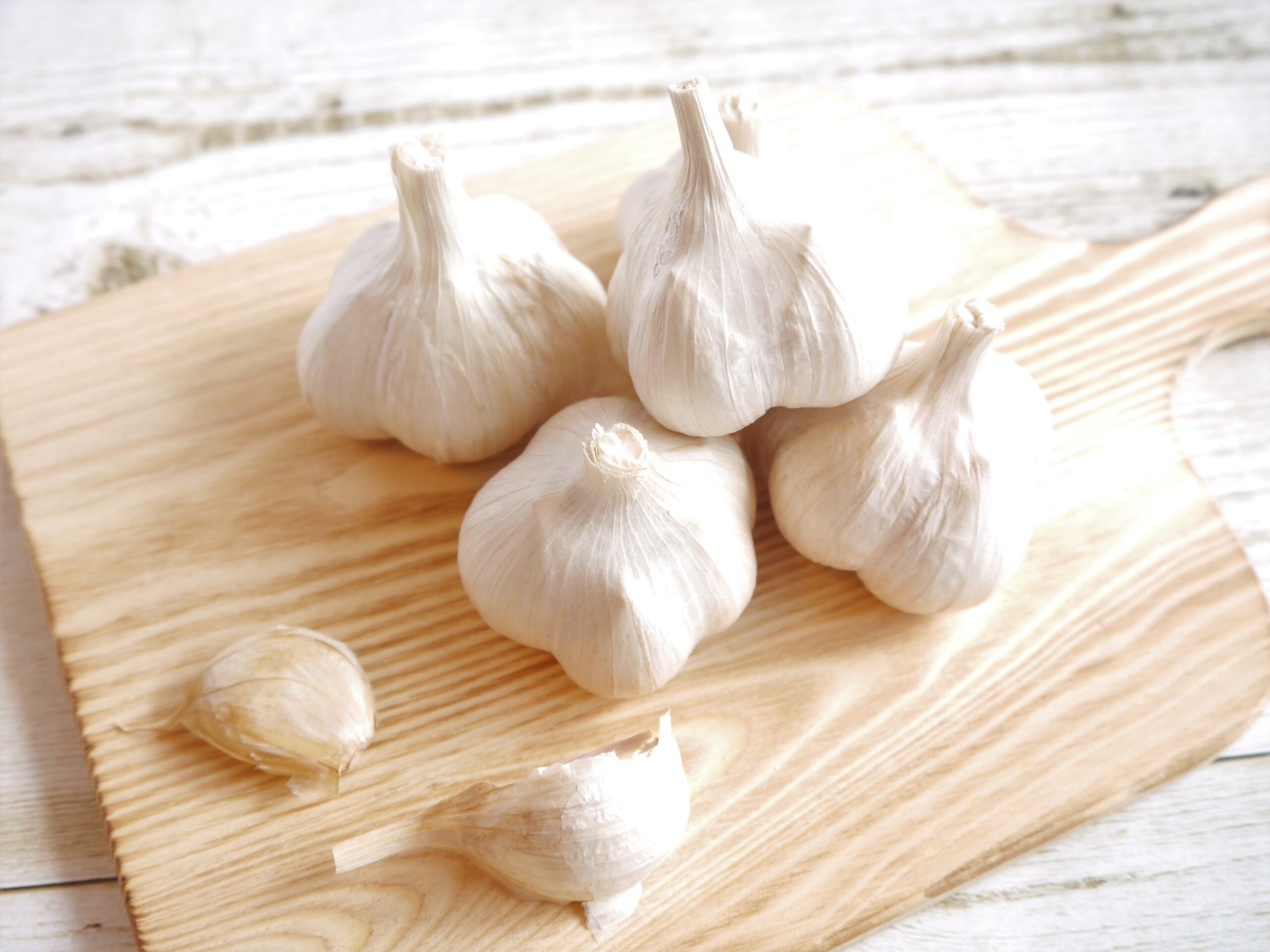 青森県産ニンニク